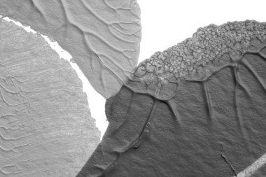 beyaz kağıt arkaplan üzerinde siyah beyaz soyut akrilik boya renk dokusu rorschach mürekkep lekesi yöntemi kullanarak