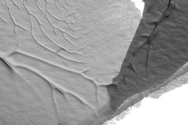 beyaz kağıt arkaplan üzerinde siyah beyaz soyut akrilik boya renk dokusu rorschach mürekkep lekesi yöntemi kullanarak