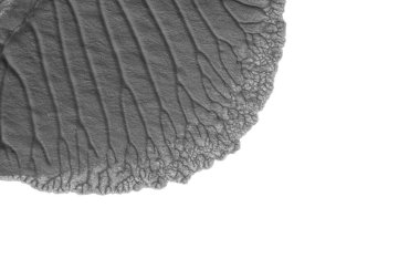 beyaz kağıt arkaplan üzerinde siyah beyaz soyut akrilik boya renk dokusu rorschach mürekkep lekesi yöntemi kullanarak