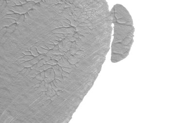 beyaz kağıt arkaplan üzerinde siyah beyaz soyut akrilik boya renk dokusu rorschach mürekkep lekesi yöntemi kullanarak