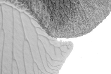 beyaz kağıt arkaplan üzerinde siyah beyaz soyut akrilik boya renk dokusu rorschach mürekkep lekesi yöntemi kullanarak