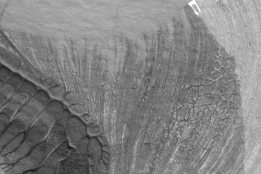 beyaz kağıt arkaplan üzerinde siyah beyaz soyut akrilik boya renk dokusu rorschach mürekkep lekesi yöntemi kullanarak