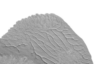 beyaz kağıt arkaplan üzerinde siyah beyaz soyut akrilik boya renk dokusu rorschach mürekkep lekesi yöntemi kullanarak