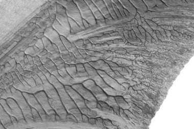 beyaz kağıt arkaplan üzerinde siyah beyaz soyut akrilik boya renk dokusu rorschach mürekkep lekesi yöntemi kullanarak