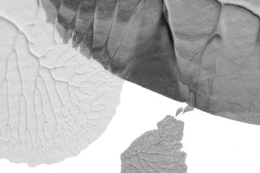 beyaz kağıt arkaplan üzerinde siyah beyaz soyut akrilik boya renk dokusu rorschach mürekkep lekesi yöntemi kullanarak