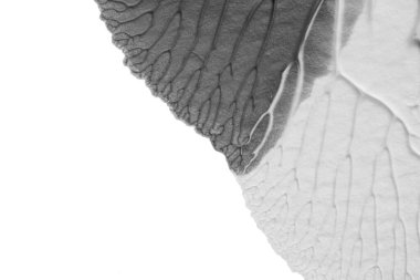 beyaz kağıt arkaplan üzerinde siyah beyaz soyut akrilik boya renk dokusu rorschach mürekkep lekesi yöntemi kullanarak