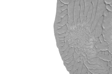 beyaz kağıt arkaplan üzerinde siyah beyaz soyut akrilik boya renk dokusu rorschach mürekkep lekesi yöntemi kullanarak