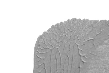 beyaz kağıt arkaplan üzerinde siyah beyaz soyut akrilik boya renk dokusu rorschach mürekkep lekesi yöntemi kullanarak