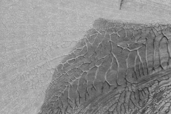 beyaz kağıt arkaplan üzerinde siyah beyaz soyut akrilik boya renk dokusu rorschach mürekkep lekesi yöntemi kullanarak