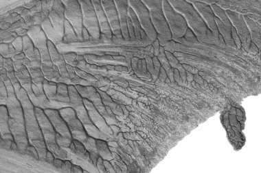 beyaz kağıt arkaplan üzerinde siyah beyaz soyut akrilik boya renk dokusu rorschach mürekkep lekesi yöntemi kullanarak