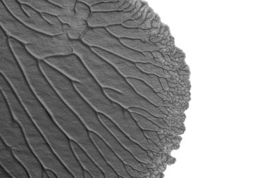 beyaz kağıt arkaplan üzerinde siyah beyaz soyut akrilik boya renk dokusu rorschach mürekkep lekesi yöntemi kullanarak