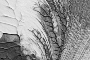 beyaz kağıt arkaplan üzerinde siyah beyaz soyut akrilik boya renk dokusu rorschach mürekkep lekesi yöntemi kullanarak