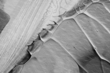 beyaz kağıt arkaplan üzerinde siyah beyaz soyut akrilik boya renk dokusu rorschach mürekkep lekesi yöntemi kullanarak