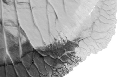 beyaz kağıt arkaplan üzerinde siyah beyaz soyut akrilik boya renk dokusu rorschach mürekkep lekesi yöntemi kullanarak