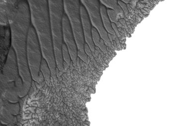 beyaz kağıt arkaplan üzerinde siyah beyaz soyut akrilik boya renk dokusu rorschach mürekkep lekesi yöntemi kullanarak