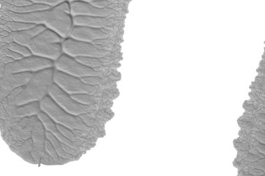 beyaz kağıt arkaplan üzerinde siyah beyaz soyut akrilik boya renk dokusu rorschach mürekkep lekesi yöntemi kullanarak