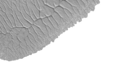 beyaz kağıt arkaplan üzerinde siyah beyaz soyut akrilik boya renk dokusu rorschach mürekkep lekesi yöntemi kullanarak