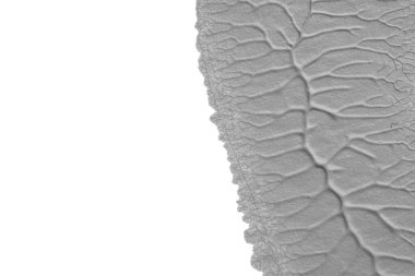 beyaz kağıt arkaplan üzerinde siyah beyaz soyut akrilik boya renk dokusu rorschach mürekkep lekesi yöntemi kullanarak