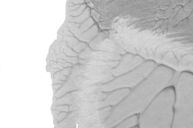 beyaz kağıt arkaplan üzerinde siyah beyaz soyut akrilik boya renk dokusu rorschach mürekkep lekesi yöntemi kullanarak