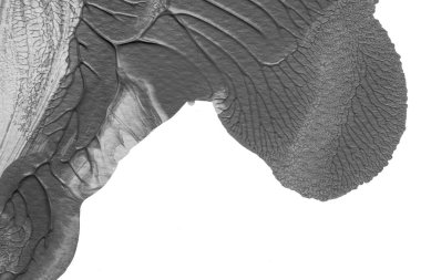 beyaz kağıt arkaplan üzerinde siyah beyaz soyut akrilik boya renk dokusu rorschach mürekkep lekesi yöntemi kullanarak