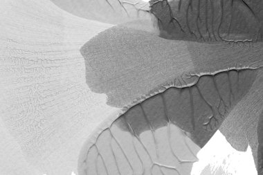 beyaz kağıt arkaplan üzerinde siyah beyaz soyut akrilik boya renk dokusu rorschach mürekkep lekesi yöntemi kullanarak