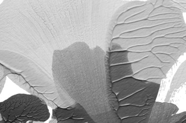 beyaz kağıt arkaplan üzerinde siyah beyaz soyut akrilik boya renk dokusu rorschach mürekkep lekesi yöntemi kullanarak