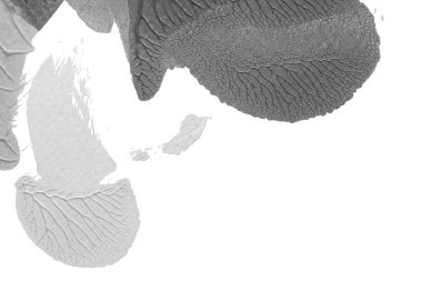 beyaz kağıt arkaplan üzerinde siyah beyaz soyut akrilik boya renk dokusu rorschach mürekkep lekesi yöntemi kullanarak