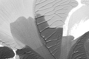 beyaz kağıt arkaplan üzerinde siyah beyaz soyut akrilik boya renk dokusu rorschach mürekkep lekesi yöntemi kullanarak