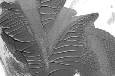 beyaz kağıt arkaplan üzerinde siyah beyaz soyut akrilik boya renk dokusu rorschach mürekkep lekesi yöntemi kullanarak