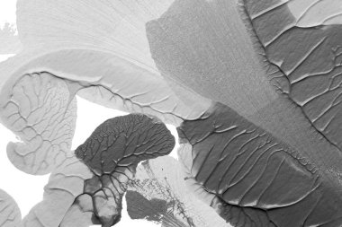 beyaz kağıt arkaplan üzerinde siyah beyaz soyut akrilik boya renk dokusu rorschach mürekkep lekesi yöntemi kullanarak