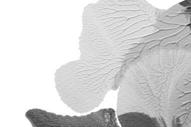 beyaz kağıt arkaplan üzerinde siyah beyaz soyut akrilik boya renk dokusu rorschach mürekkep lekesi yöntemi kullanarak