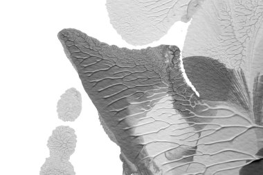 beyaz kağıt arkaplan üzerinde siyah beyaz soyut akrilik boya renk dokusu rorschach mürekkep lekesi yöntemi kullanarak