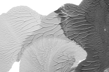 beyaz kağıt arkaplan üzerinde siyah beyaz soyut akrilik boya renk dokusu rorschach mürekkep lekesi yöntemi kullanarak