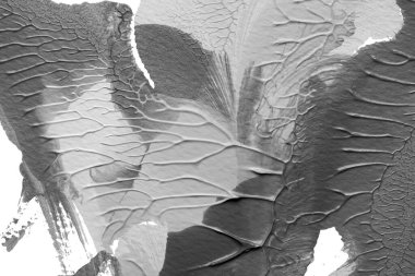 beyaz kağıt arkaplan üzerinde siyah beyaz soyut akrilik boya renk dokusu rorschach mürekkep lekesi yöntemi kullanarak