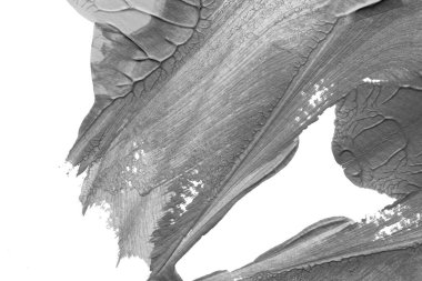 beyaz kağıt arkaplan üzerinde siyah beyaz soyut akrilik boya renk dokusu rorschach mürekkep lekesi yöntemi kullanarak