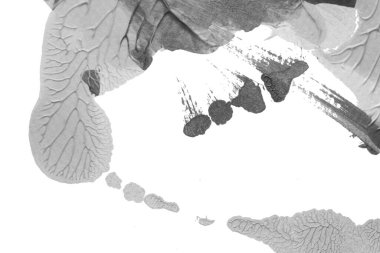 beyaz kağıt arkaplan üzerinde siyah beyaz soyut akrilik boya renk dokusu rorschach mürekkep lekesi yöntemi kullanarak