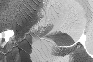 beyaz kağıt arkaplan üzerinde siyah beyaz soyut akrilik boya renk dokusu rorschach mürekkep lekesi yöntemi kullanarak