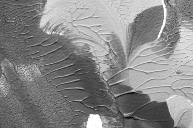 beyaz kağıt arkaplan üzerinde siyah beyaz soyut akrilik boya renk dokusu rorschach mürekkep lekesi yöntemi kullanarak