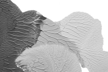 beyaz kağıt arkaplan üzerinde siyah beyaz soyut akrilik boya renk dokusu rorschach mürekkep lekesi yöntemi kullanarak