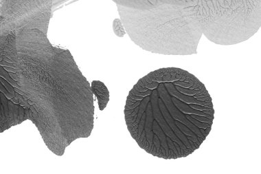 beyaz kağıt arkaplan üzerinde siyah beyaz soyut akrilik boya renk dokusu rorschach mürekkep lekesi yöntemi kullanarak