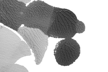 beyaz kağıt arkaplan üzerinde siyah beyaz soyut akrilik boya renk dokusu rorschach mürekkep lekesi yöntemi kullanarak