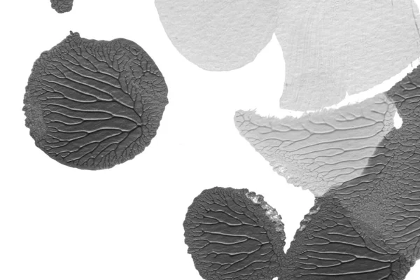 beyaz kağıt arkaplan üzerinde siyah beyaz soyut akrilik boya renk dokusu rorschach mürekkep lekesi yöntemi kullanarak