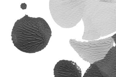 beyaz kağıt arkaplan üzerinde siyah beyaz soyut akrilik boya renk dokusu rorschach mürekkep lekesi yöntemi kullanarak