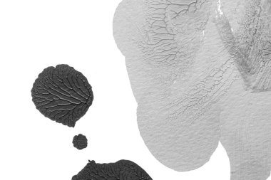 beyaz kağıt arkaplan üzerinde siyah beyaz soyut akrilik boya renk dokusu rorschach mürekkep lekesi yöntemi kullanarak