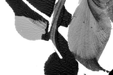 Beyaz kağıda akrilik renkler çizdim ve kağıdı karıştırılmış akrilik renklerin dokusunu oluşturan rorschach mürekkep lekesine benzer şekilde katladım..