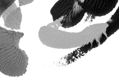 Beyaz kağıda akrilik renkler çizdim ve kağıdı karıştırılmış akrilik renklerin dokusunu oluşturan rorschach mürekkep lekesine benzer şekilde katladım..