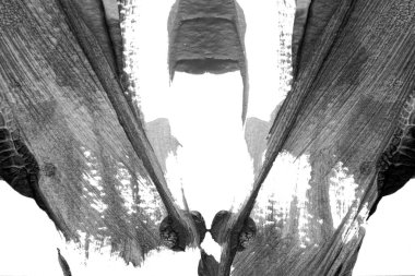 Beyaz kağıda akrilik renkler çizdim ve kağıdı karıştırılmış akrilik renklerin dokusunu oluşturan rorschach mürekkep lekesine benzer şekilde katladım..