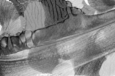 Beyaz kağıda akrilik renkler çizdim ve kağıdı karıştırılmış akrilik renklerin dokusunu oluşturan rorschach mürekkep lekesine benzer şekilde katladım..