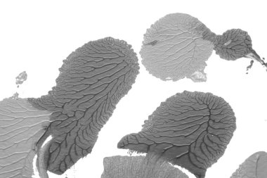 Beyaz kağıda akrilik renkler çizdim ve kağıdı karıştırılmış akrilik renklerin dokusunu oluşturan rorschach mürekkep lekesine benzer şekilde katladım..