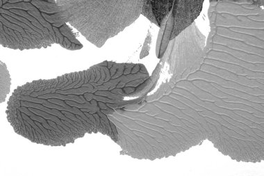 Beyaz kağıda akrilik renkler çizdim ve kağıdı karıştırılmış akrilik renklerin dokusunu oluşturan rorschach mürekkep lekesine benzer şekilde katladım..